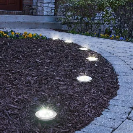 Illuminate Your Outdoor Space With Ground Lights